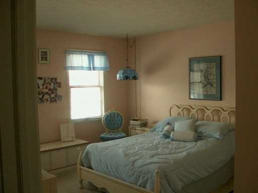 12265 Cavalry Ct, Granger, IN 46530 photo 8