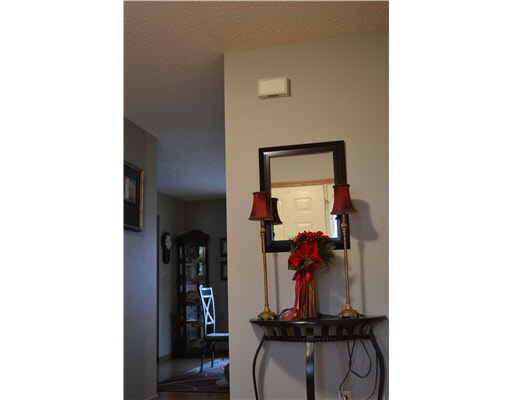 10333 Ashleys Meadow Dr, Granger, IN 46530 photo 12