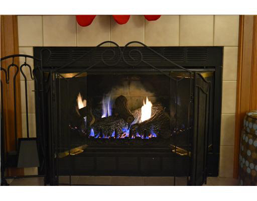 10333 Ashleys Meadow Dr, Granger, IN 46530 photo 17