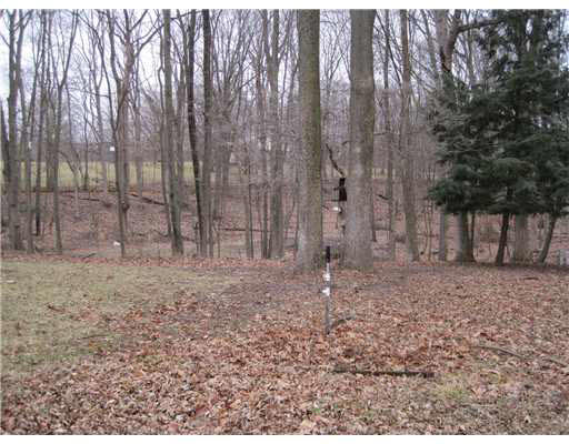 10451 Nutmeg Rd, Plymouth, IN 46563 photo 5
