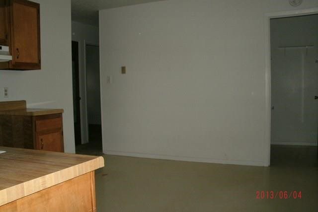 203 Pleasant Ave, Topeka, IN 46571 photo 4