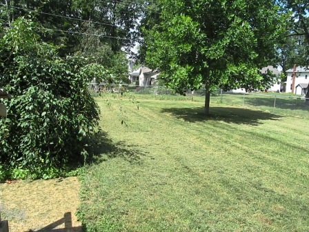 409 N Orange St, Albion, IN 46701 photo 21