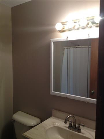 423 Old Bog Rd, Avilla, IN 46710 photo 13