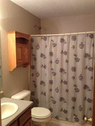 423 Old Bog Rd, Avilla, IN 46710 photo 11