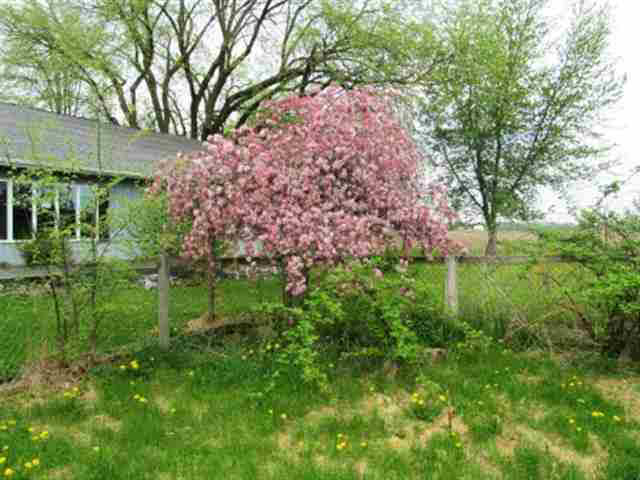3411 W 900 N, Wawaka, IN 46794 photo 14