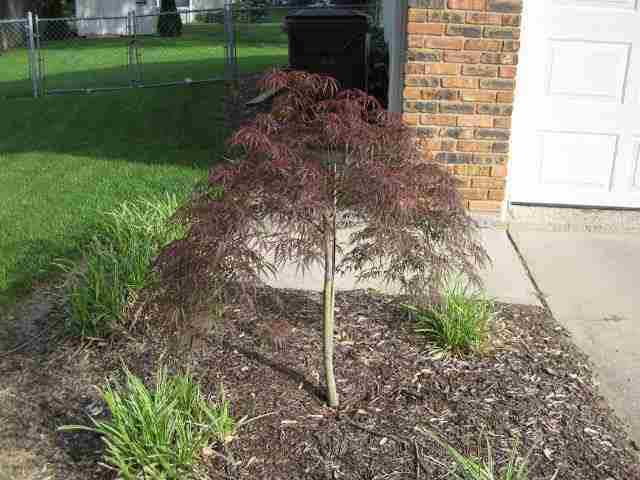 713 Brentwood Cir, Auburn, IN 46706 photo 24