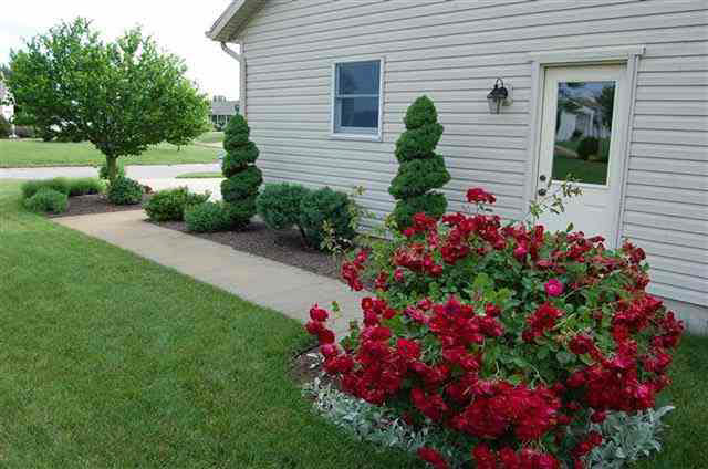 405 E Birchwood Ct, Warsaw, IN 46582 photo 20