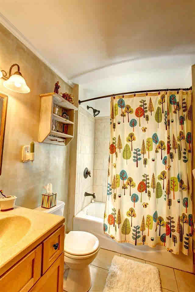 903 W Vistula St, Bristol, IN 46507 photo 15