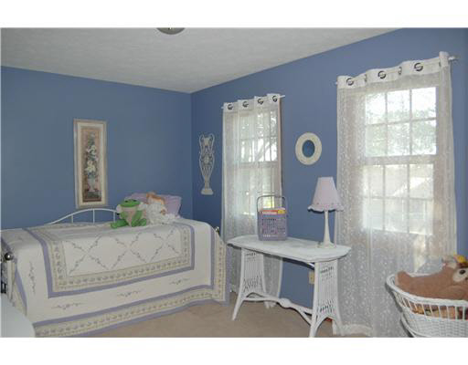 10813 Pewamo Dr, Osceola, IN 46561 photo 16