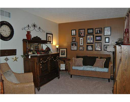 10813 Pewamo Dr, Osceola, IN 46561 photo 3