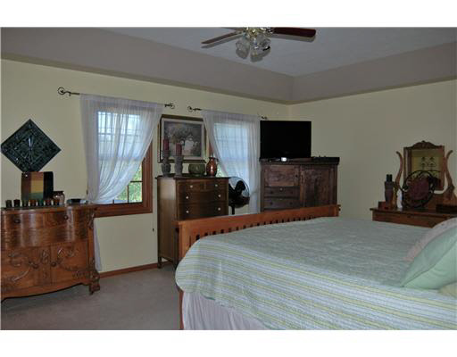 10813 Pewamo Dr, Osceola, IN 46561 photo 10