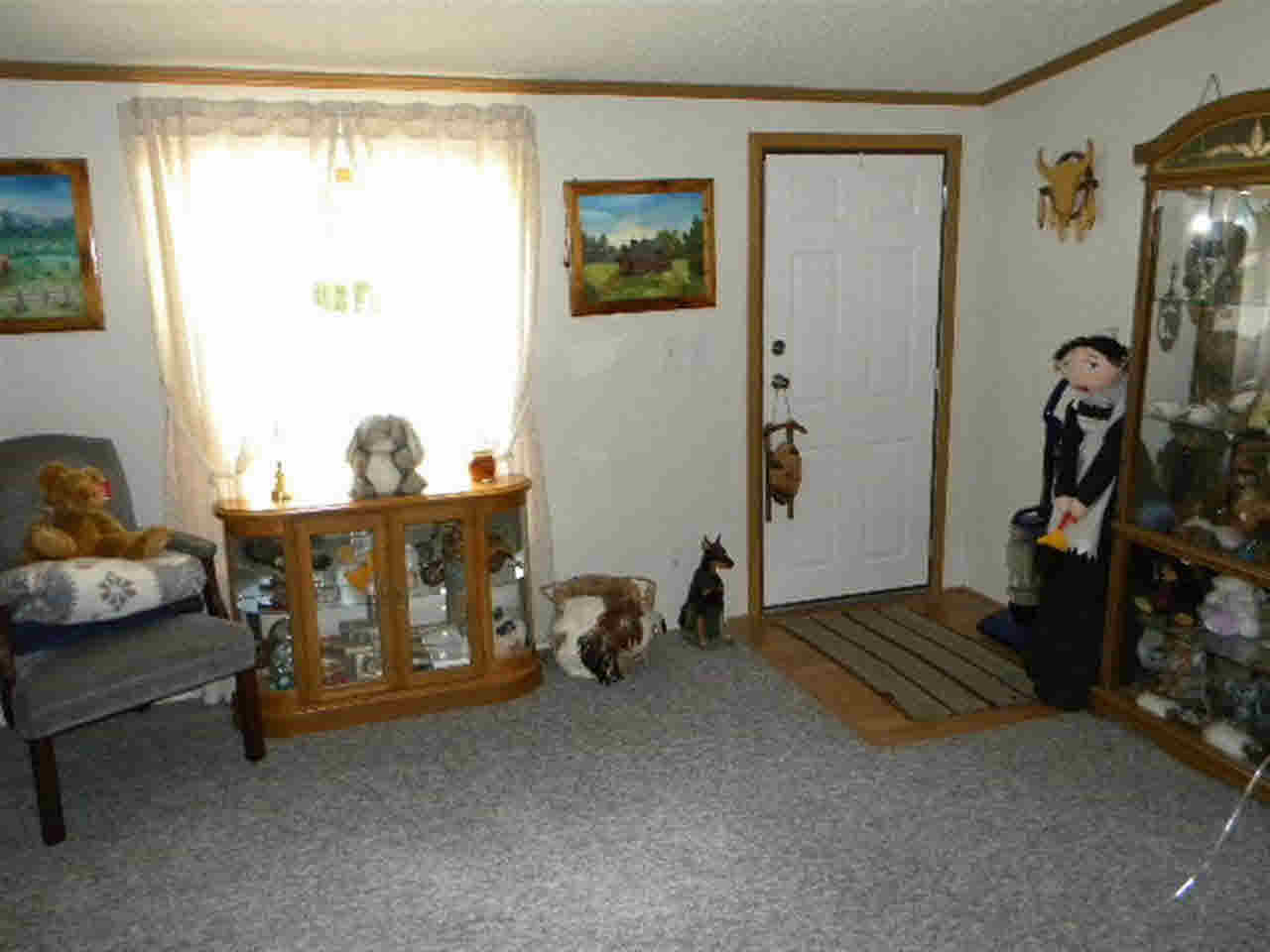 9538 N Sandpoint Dr, Cromwell, IN 46732 photo 8