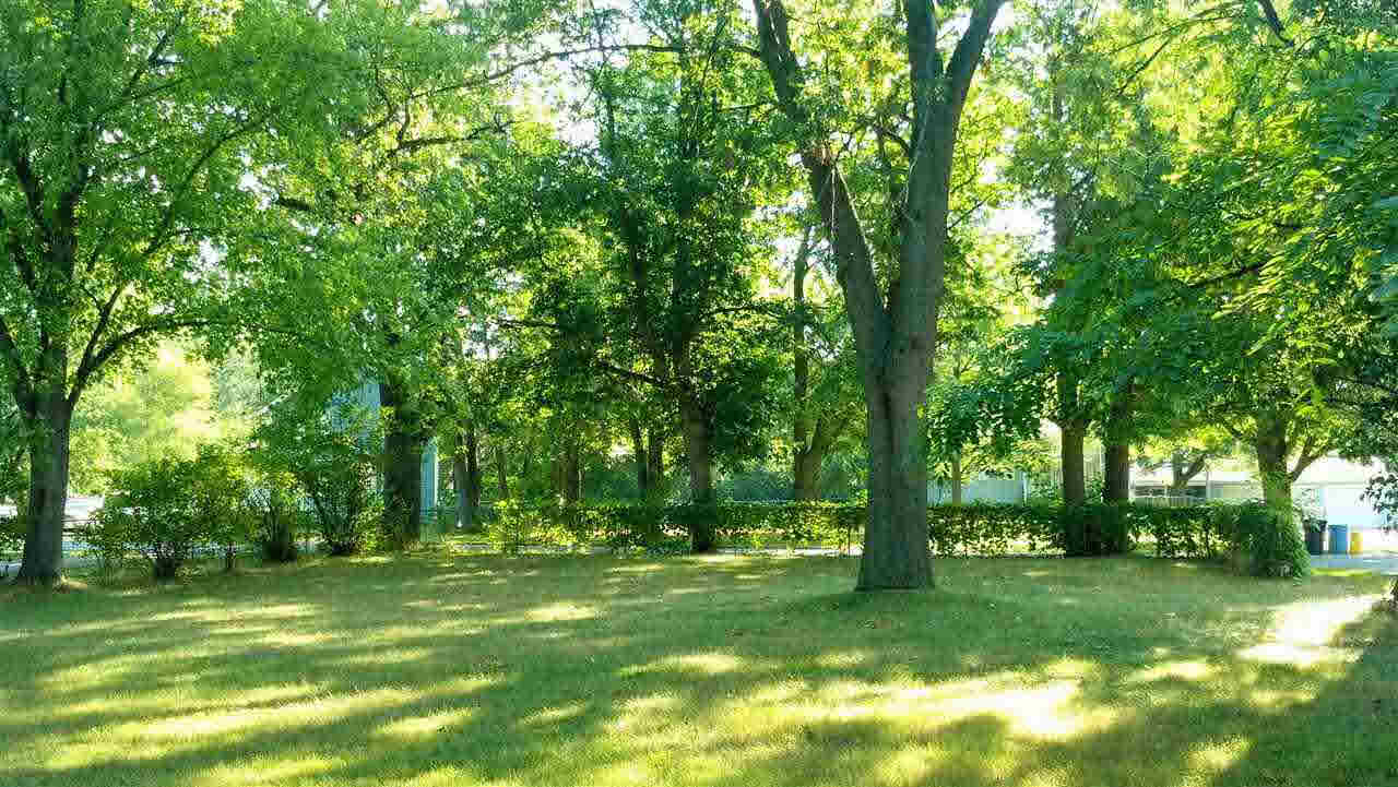 52637 Hollyhock Rd, South Bend, IN 46637 photo 5