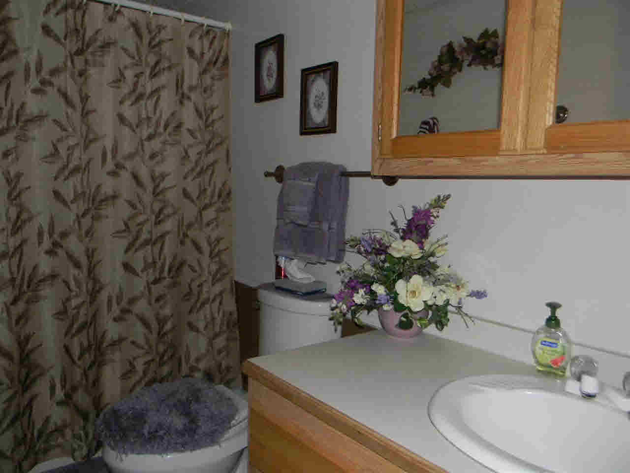 404 E County Line Rd, Wolcottville, IN 46795 photo 21