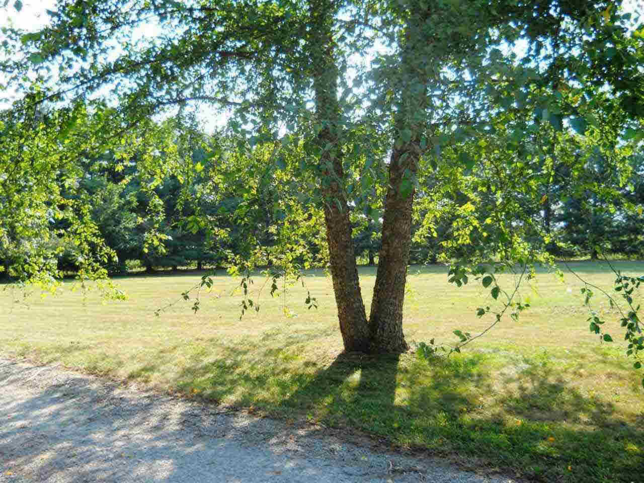 8426 E Swan Rd, Avilla, IN 46710 photo 24