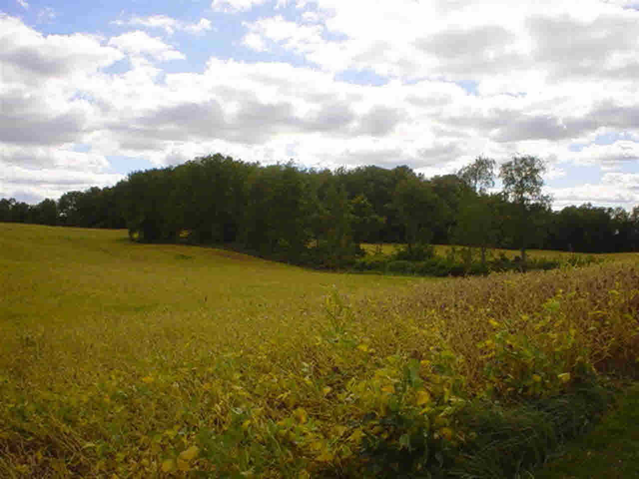8555 W 400 S, Hudson, IN 46747 photo 23