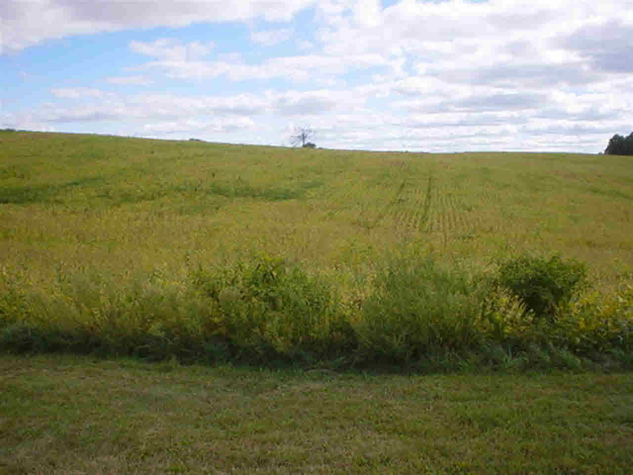 8555 W 400 S, Hudson, IN 46747 photo 22