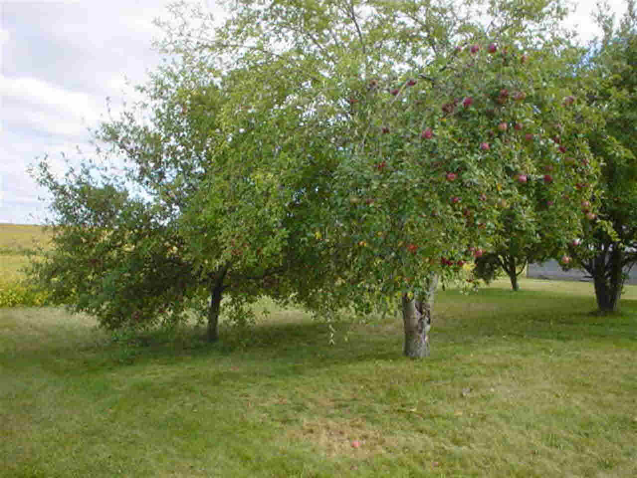8555 W 400 S, Hudson, IN 46747 photo 18