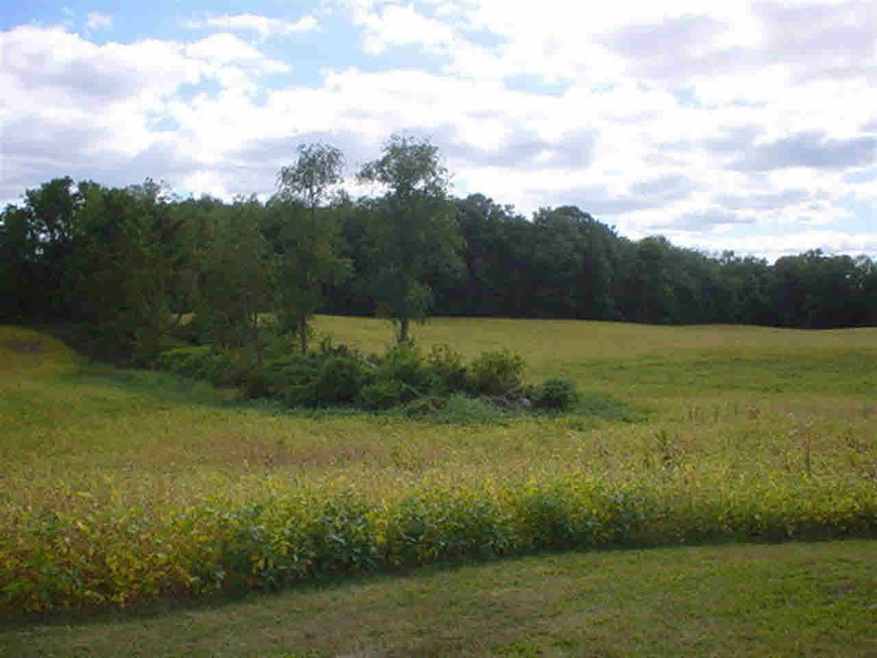 8555 W 400 S, Hudson, IN 46747 photo 25