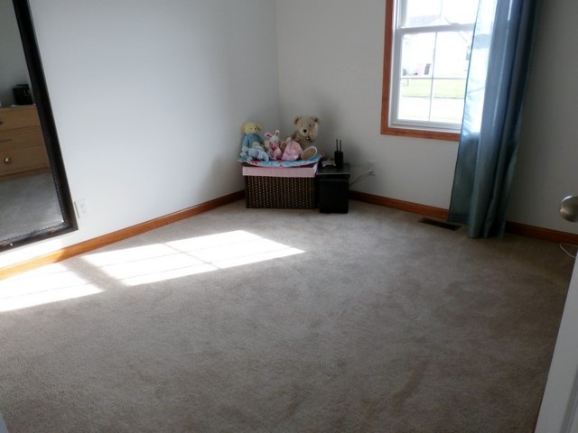 10093 Benamin Dr, Granger, IN 46530 photo 11