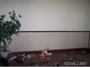 530 E 3rd, Peru, IN 46970 photo 5