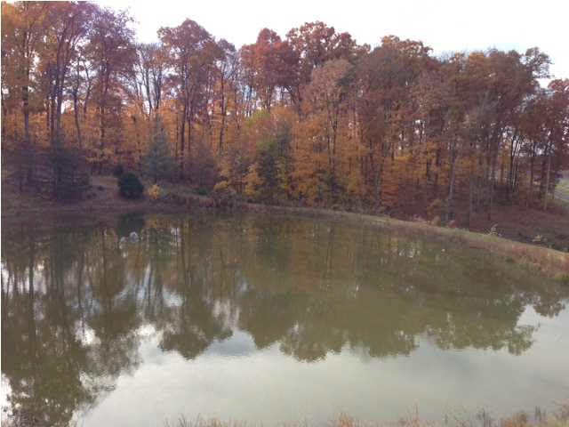 3090 N State Road 545, Dubois, IN 47527 photo 3