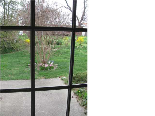 306 Vista Dr, Mount Vernon, IN 47620 photo 23