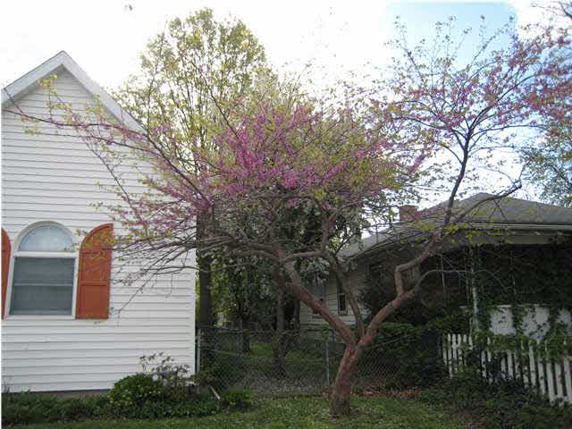 1839 Glendale Ave, Evansville, IN 47712 photo 3