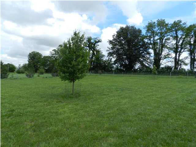 9794 W 800 S, Owensville, IN 47665 photo 14
