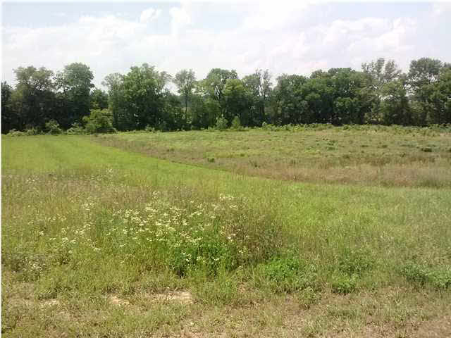 4700 Calico Dr, Mount Vernon, IN 47620 photo 24
