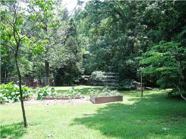 11860 Branchville Rd, Branchville, IN 47514 photo 22