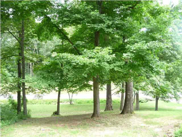 8514 W Old State Road 64, Holland, IN 47541 photo 17