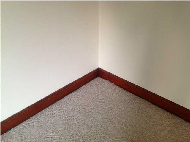 301 Elm St, Haubstadt, IN 47639 photo 11