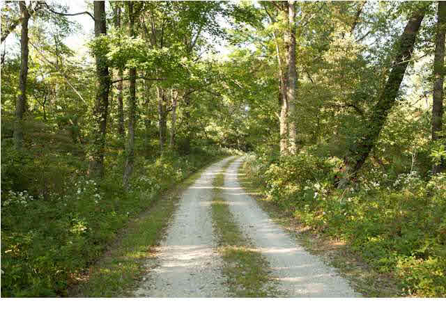 522 Dusty Rd, Boonville, IN 47601 photo 2