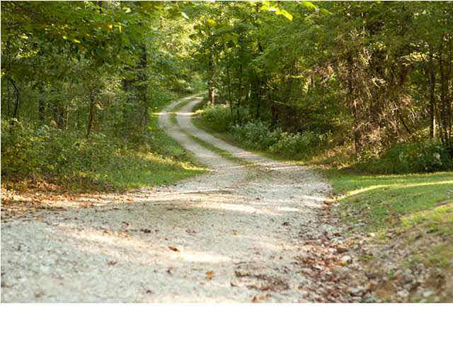 522 Dusty Rd, Boonville, IN 47601 photo 3