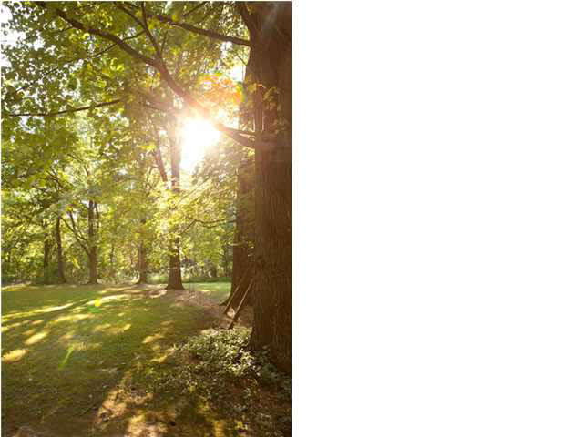 522 Dusty Rd, Boonville, IN 47601 photo 27