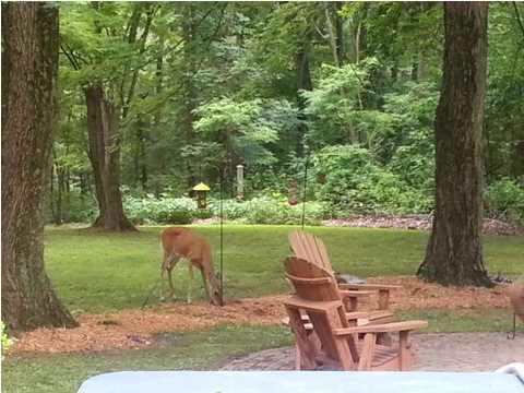 522 Dusty Rd, Boonville, IN 47601 photo 26