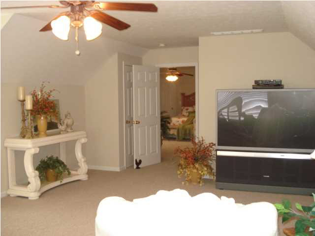 9129 Baldwin Dr, Evansville, IN 47725 photo 23