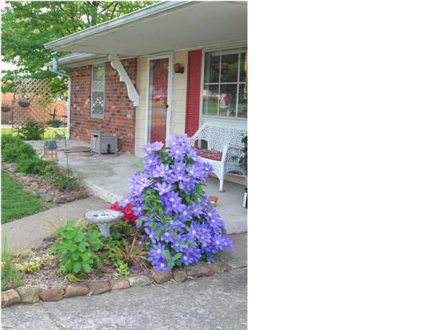 645 21st St, Tell City, IN 47586 photo 20