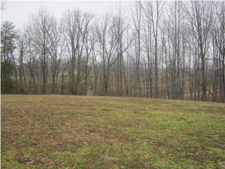 2438 W County Road 200 S, Petersburg, IN 47567 photo 11