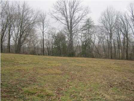 2438 W County Road 200 S, Petersburg, IN 47567 photo 12
