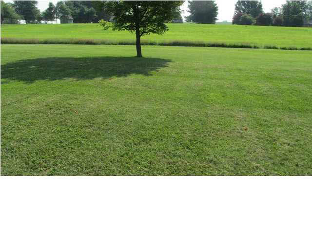 3212 N Private Road 25 E, Petersburg, IN 47567 photo 10