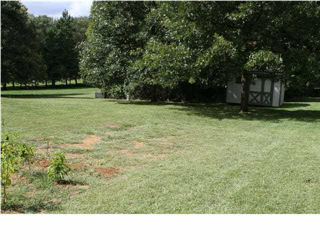 10446 Hickory Ln, Evansville, IN 47720 photo 15