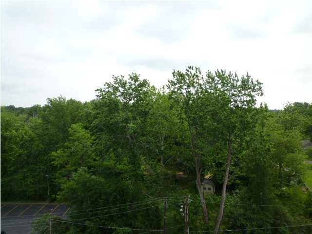 1100 Erie Ave #706, Evansville, IN 47715 photo 5