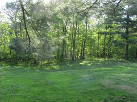 282 S State Road 61, Winslow, IN 47598 photo 8