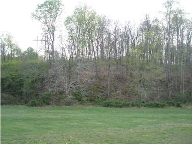 8732 N County Road 1250 E, Evanston, IN 47531 photo 11