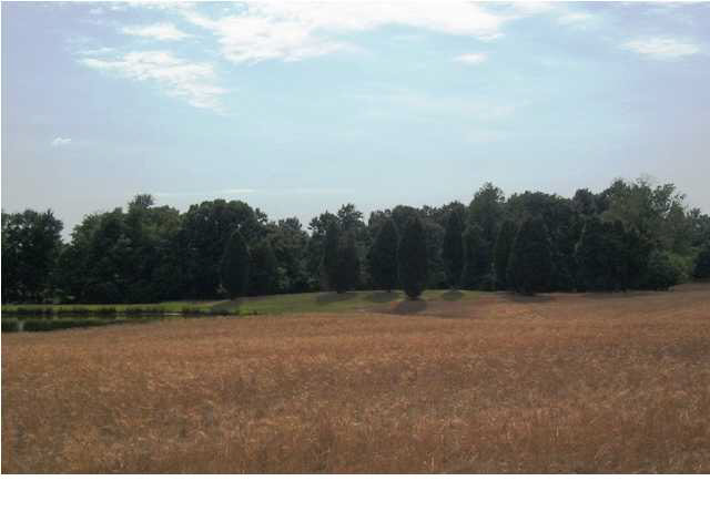 2898 E County Road 1000 N, Chrisney, IN 47611 photo 15