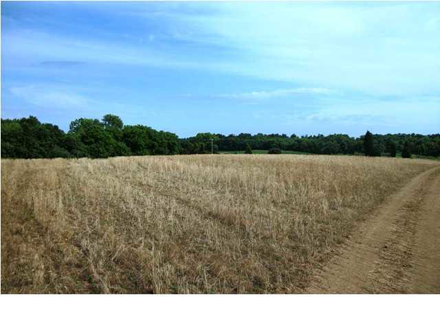 2898 E County Road 1000 N, Chrisney, IN 47611 photo 16
