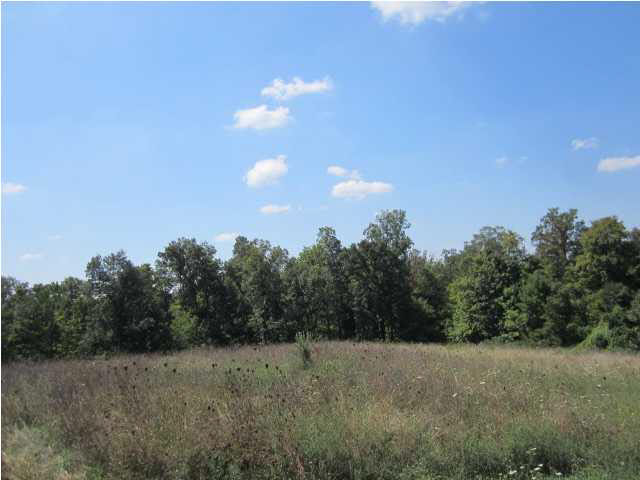 11181 Sweet Gum Rd, Leopold, IN 47551 photo 18