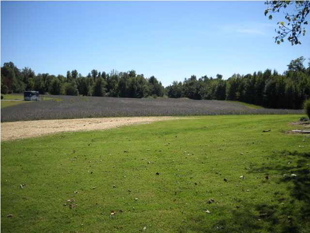 3177 W Eureka Rd, Rockport, IN 47635 photo 17